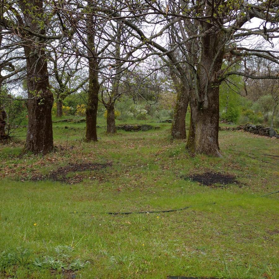 Casa Rural Leonor Villa San Ciprian  Bagian luar foto