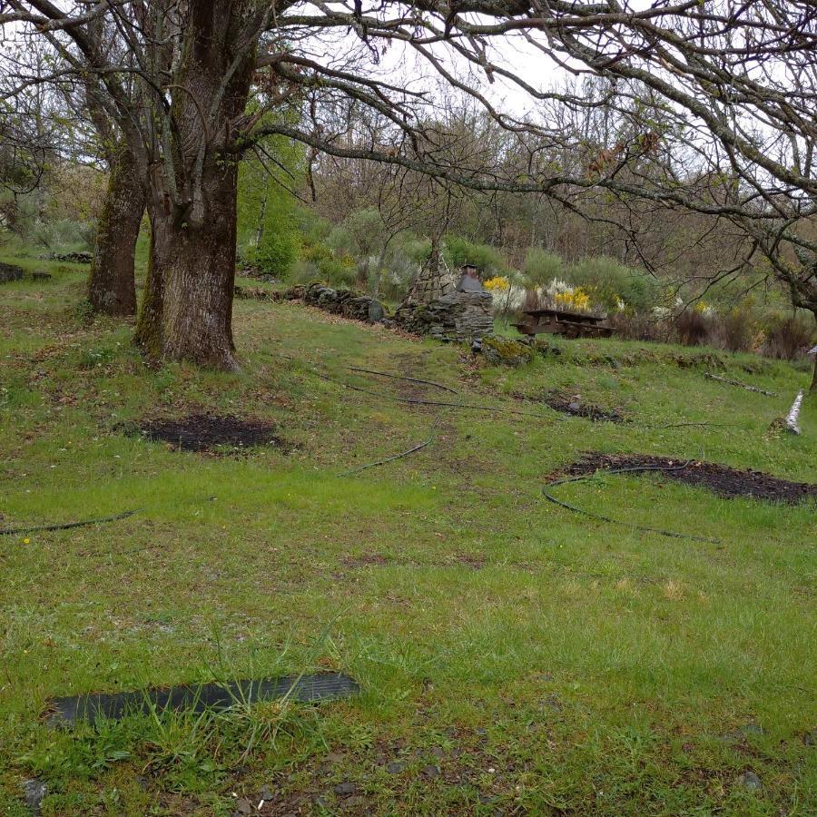 Casa Rural Leonor Villa San Ciprian  Bagian luar foto